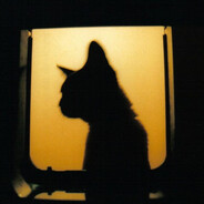Avatar snapshot