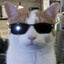 DARLING NOEN