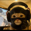Very dangerous kitty
