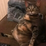 Ich liebe deutsche Mädchen