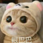 知足常乐呀