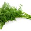 Dill