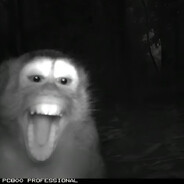 ДАНИЛ КОЛБАСЕНКО