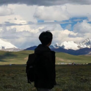 棒打鲜橙加椰果