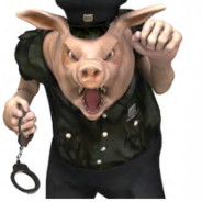 Officer Ham