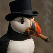 Puffin
