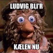 Have you seen Ludvig?