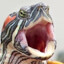TAI TURTLE