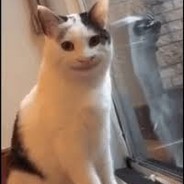 Roach - steam id 76561198823220471