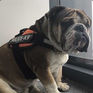 Big Avatar