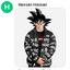 Hassan Hassan