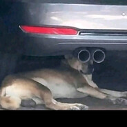 lawrencezq J<3 - steam id 76561199221344883