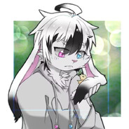 彩华RG