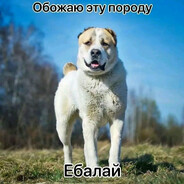 генерал полюции