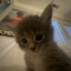 poke_
