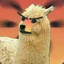 YellowAlpaca