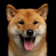 虚空的虚空一切都是虚空