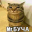 Герцог унитаза