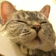 24岁，是斟茶兵