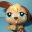 Avatar of Puppy brained