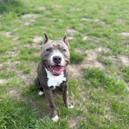 S1mpleSackz - steam id 76561198877057249