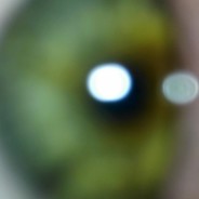 The Great Emerald Serpent