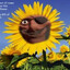 жухлый гумус