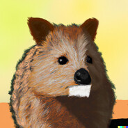 quokka - steam id 76561198962524621