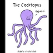 octocock avatar