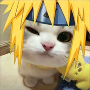 FluffyDolfin avatar