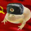 Comrade Toad