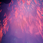 此名称已被占用