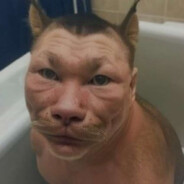 олег мяумяу avatar