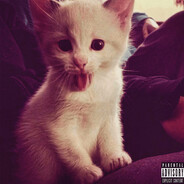 мистер пенис