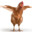 Pollo jalado