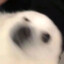 大雄.Y