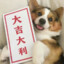 可能你不快乐