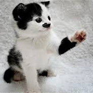 Kitler