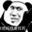 俞梓殇