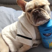 你在教我做事吗