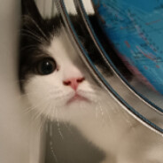 求求你放过我吧