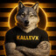 KallevX