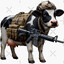 TheChunkyCow