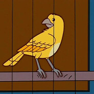 RogueParrot