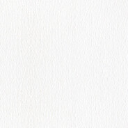 超级无敌暴龙战士