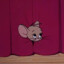 jerry