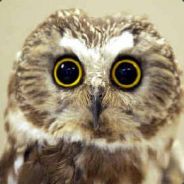 NoDsl - steam id 76561197971082457