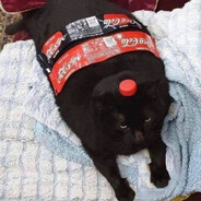 Kasa Jizo