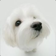 Bleppacus - steam id 76561197966692024