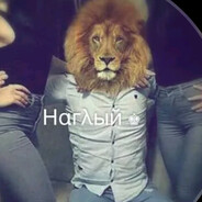 beton prime